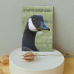 Surprised Canada Goose Funny Birthday Card<br><div class="desc">Funny birthday card for all that features the photo image of a surprised looking Canada Goose. Select your card size. Select your card finish style.</div>