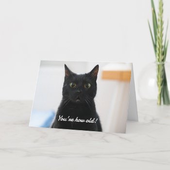 Surprised Cat Funny Birthday Holiday Card by Hannahscloset at Zazzle