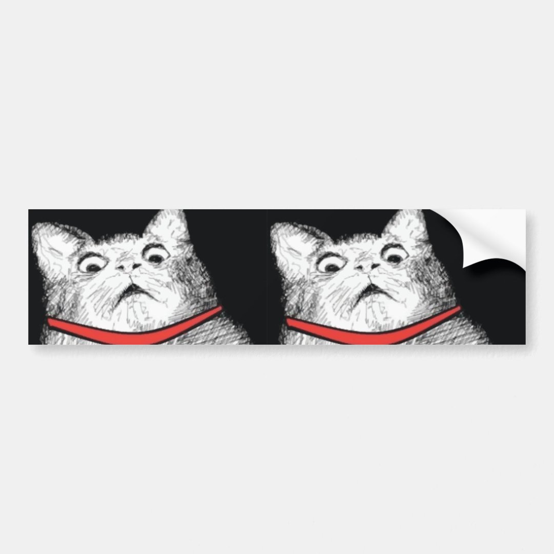 Surprised Cat Gasp Meme Bumper Sticker Zazzle