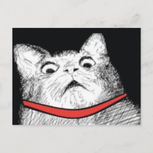 Surprised Cat Gasp Meme - Postcard