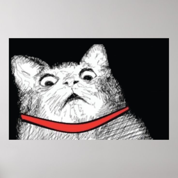 Surprised Cat Gasp Meme Poster Zazzle 