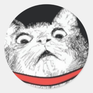 Surprised Cat Gasp Meme - Round Stickers