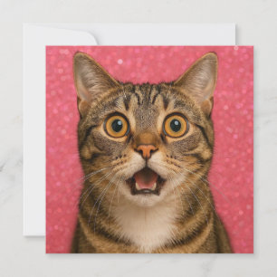 Surprised Cat Greeting Card. Card