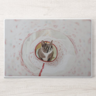 "Surprised Cat Laptop Case - Cute and Protective HP Laptop Skin