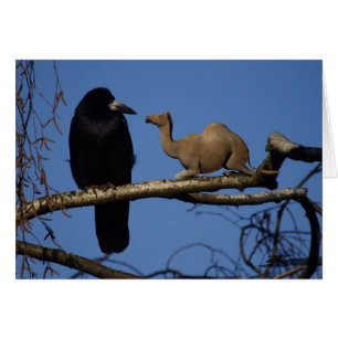 Surprised Crow Cards