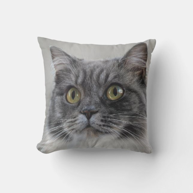 Surprised gray cat, a distinctive breed throw pillow (Front)