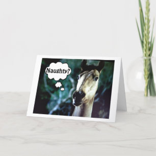 SURPRISED HORSE=YOU WERE NAUGHTY BEFORE CHRISTMAS HOLIDAY CARD