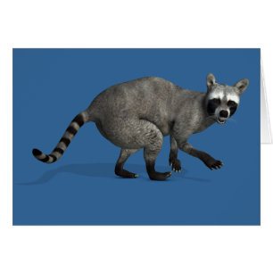 Surprised Raccoon Cards