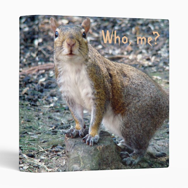 Surprised Squirrel Binder (Front/Spine)