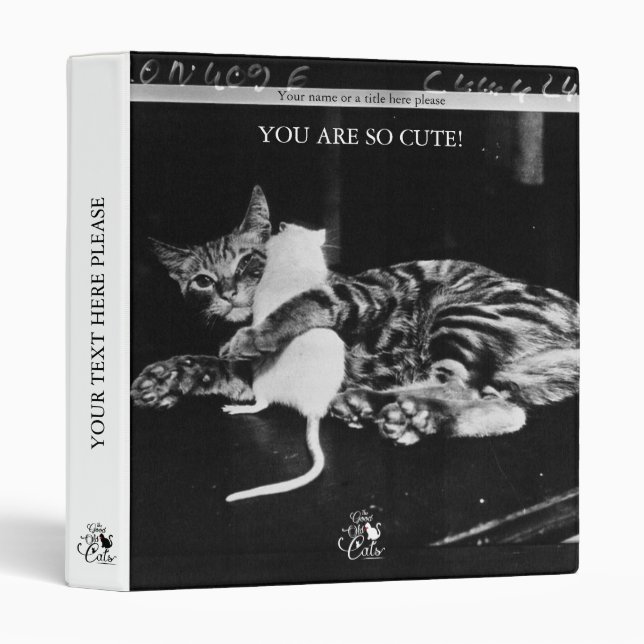 Surprising Friendship - Cat Minnie and Mike Mouse Binder (Front/Spine)