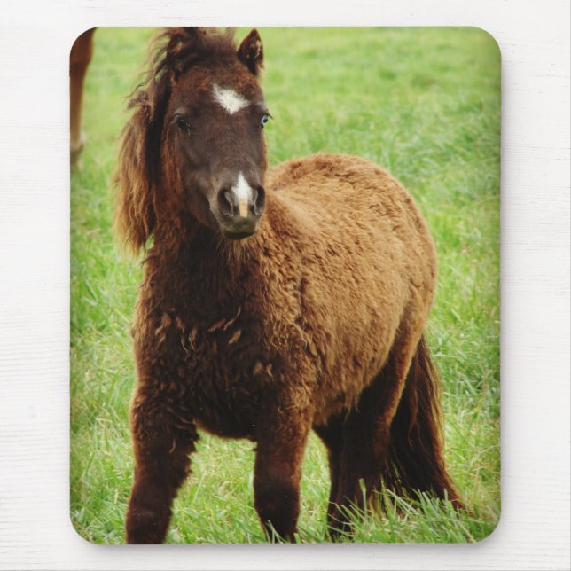 Surprized Mini Mouse Pad (Front)