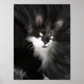 Surreal Cat Print