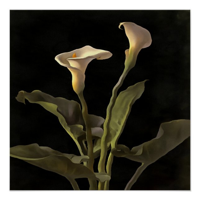 Surreal Easter Lilies On A Black Background Poster (Front)