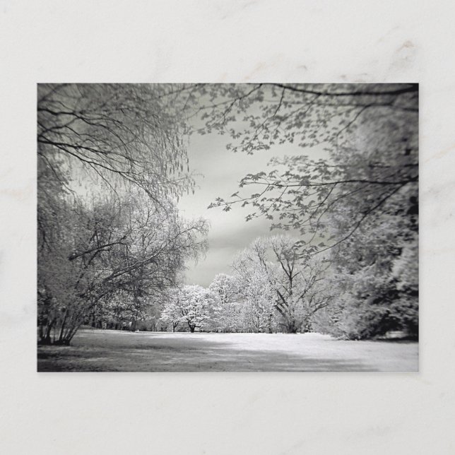 Surreal false color infrared spring landscape. postcard (Front)