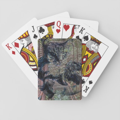 Surreal fluffy cat in nature with industrial vibe playing cards