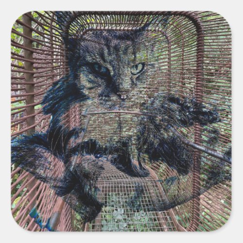 Surreal fluffy cat in nature with industrial vibe square sticker