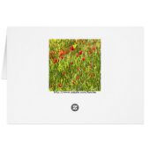 Surreal Hypnotic Poppies Cards (Back Horizontal)
