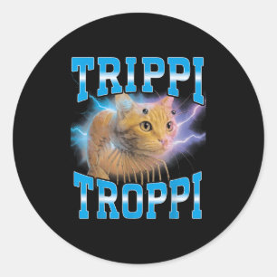 Surreal Italian Brainrot Meme Trippi Troppi Cat Fu Classic Round Sticker