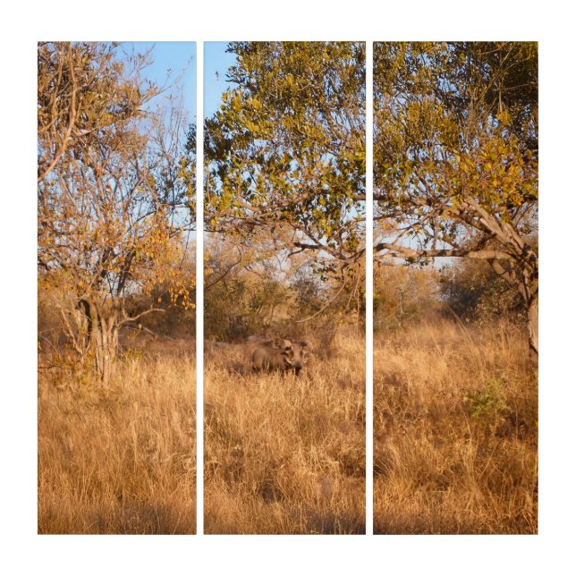 Surreal Savannah – Wildlife Wall Art (Front)