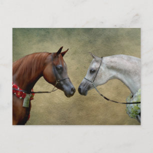 Surreal two horses painting. postcard