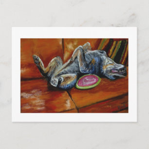 surrender to the frisbee postcard