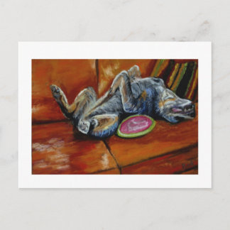 surrender to the frisbee postcard