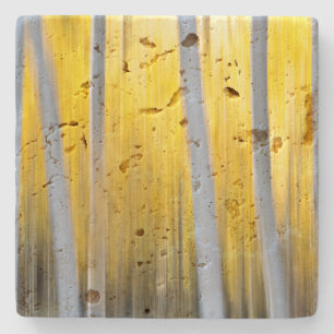 surrounded by Aspen trees Stone Coaster