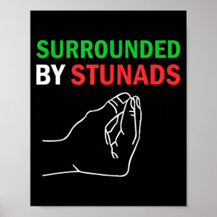 Surrounded By Stunads Funny Italian Sayings Poster