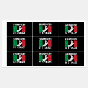 Surrounded by Stunads Labels