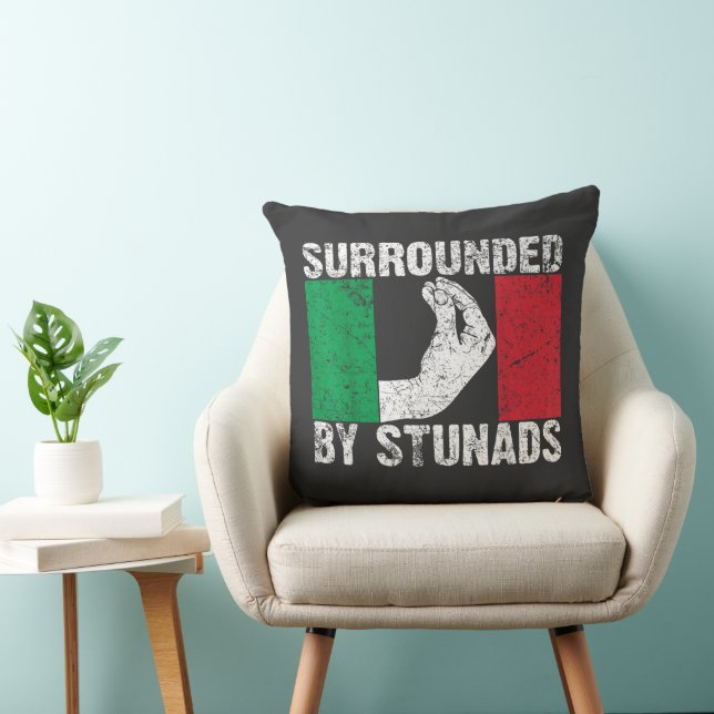 Surrounded by Stunads Throw Pillow (Chair)