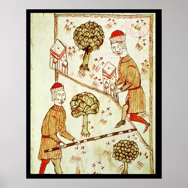 Surveying and demarcation of land poster (Front)