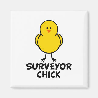 Surveyor Chick Magnet