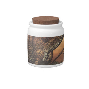 Survival for the fittest.jpg candy jar