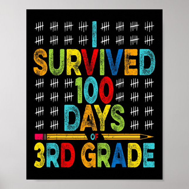 Survived 100 Days Of 3rd Grade 100th Day Of School Poster (Front)