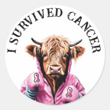 Survived breast cancer Cow