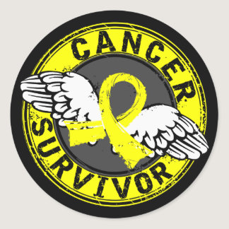 Survivor 14 Testicular Cancer Classic Round Sticker