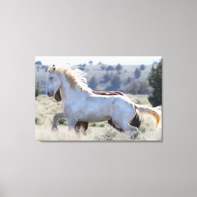 Survivor Wrapped Canvas  Print (Front)