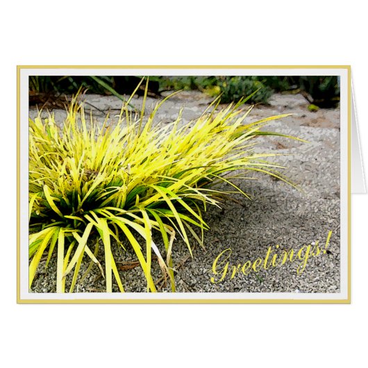 Survivor Yellow Desert Plant customizable Frame Cards (Front Horizontal)