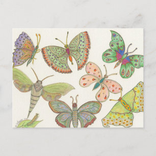 Survivors Hub Series #4 Butterflies Postcard