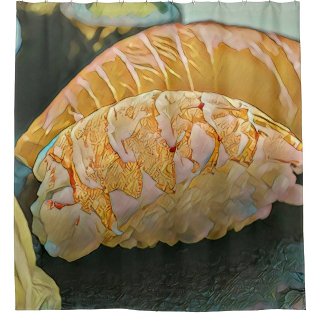 Sushi lover gift shower curtain (Front)