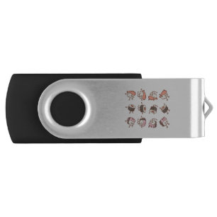 Sushi Workout Exercising Flash Drive