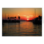 "Suspending Time" Dunedin Marina (Front Horizontal)