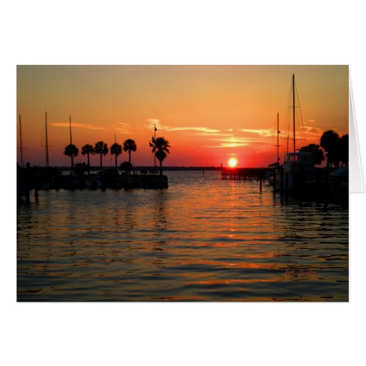 "Suspending Time" Dunedin Marina Cards (Front Horizontal)