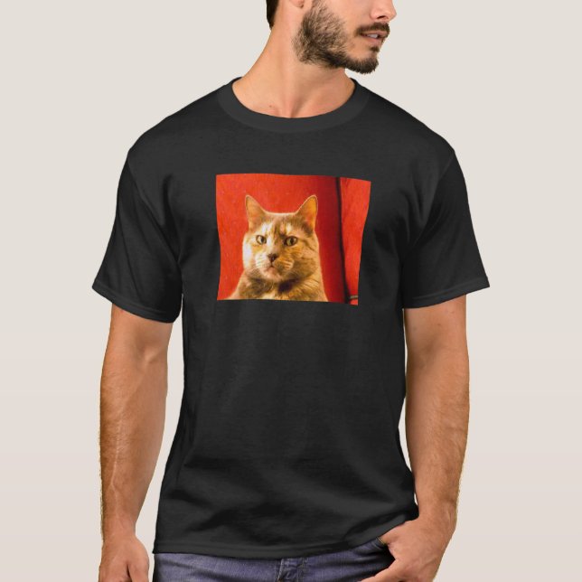 Suspicious Cat Meme T-Shirt (Front)