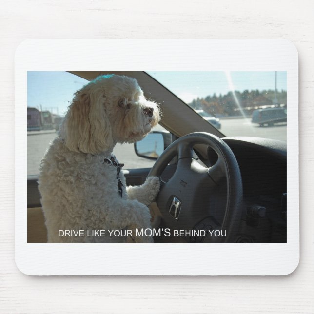Suspicious Cockapoo Glances in Mirror Mouse Pad (Front)