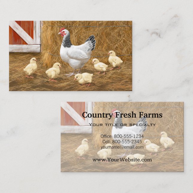 Sussex Chicken Mama Hen and Chicks Business Card (Front/Back)