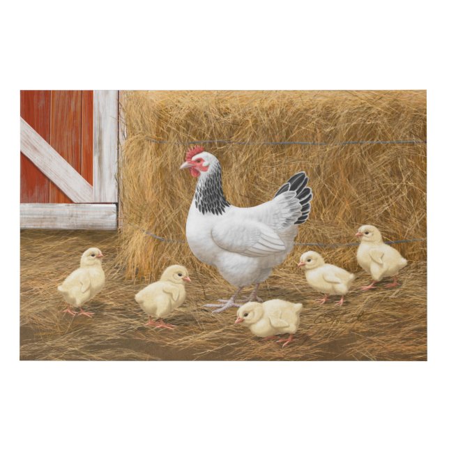 Sussex Chicken Mama Hen and Chicks Faux Canvas Print (Front)