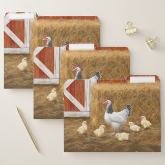 Sussex Chicken Mama Hen and Chicks File Folder