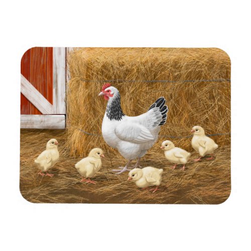 Sussex Chicken Mama Hen and Chicks Magnet