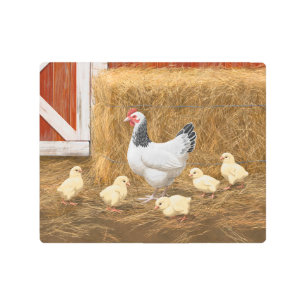 Sussex Chicken Mama Hen and Chicks Metal Print